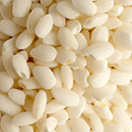 BUY MOCHIGOME SWEET RICE