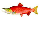 Buy COPPER RIVER SALMON