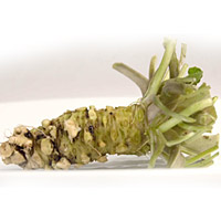 WASABI