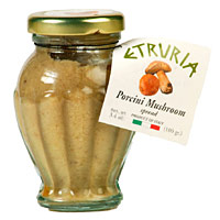 Porcini Cream