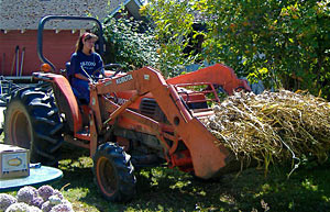 PICTURE: Marie brings in just harvested garlic