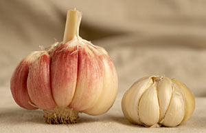 PICTURE: Killarney Red - Chinese Garlic