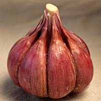 PICTURE: NEW THIS WEEK – PURPLE GLAZER ORGANIC GARLIC