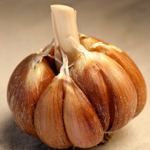 PICTURE: BAILEY ROC ORGANIC GARLIC