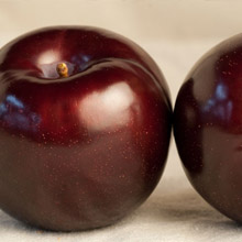 PICTURE: Pluot