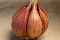 PICTURE: ZEMO GARLIC