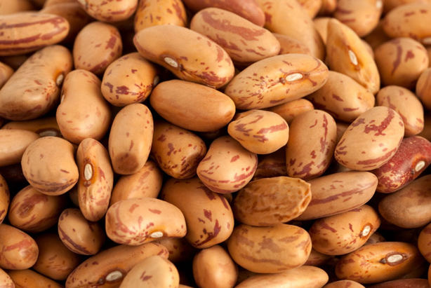 Borlotti Beans by Chef Lesa