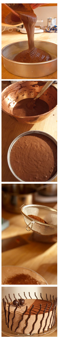 COCOA!