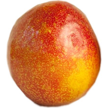 BUY FRESH PLUOTS