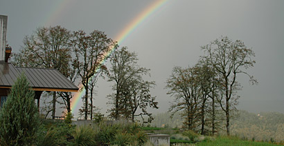 Picture: Penner-Ash Winery with a Double Rainbow